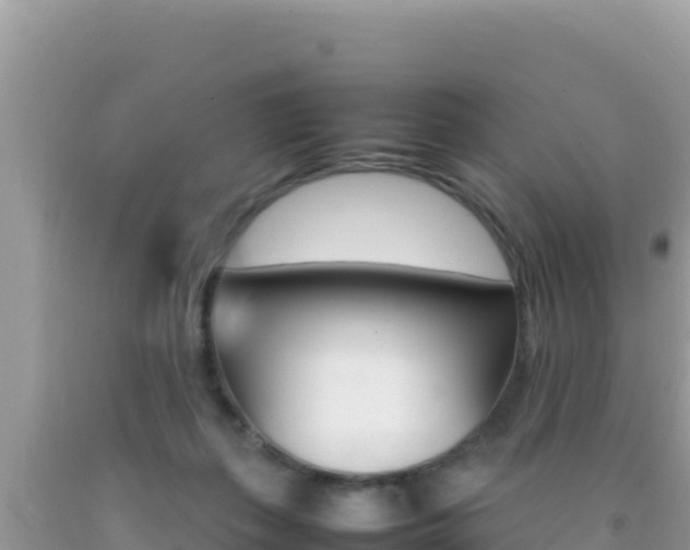 X0000092230267200709140947