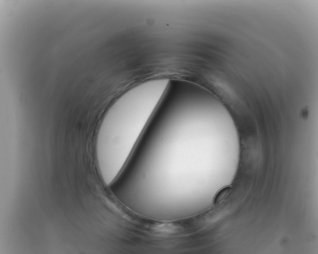 X0000092230269200709140947