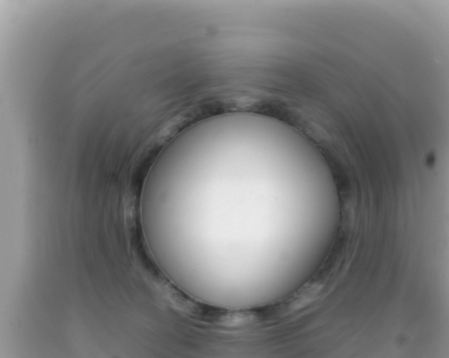 X0000092230274200709140947
