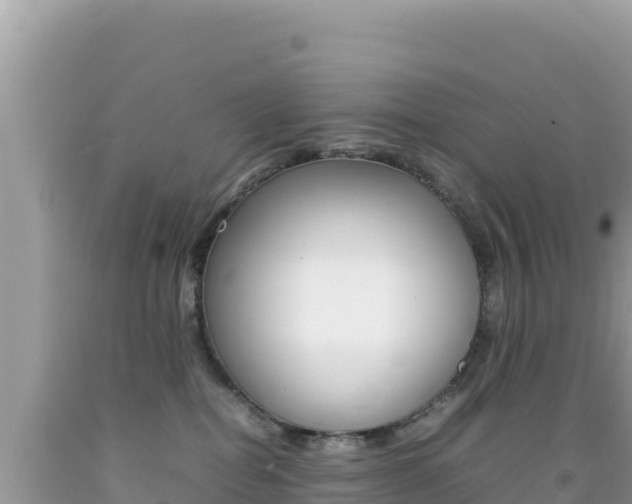 X0000092230282200709140947