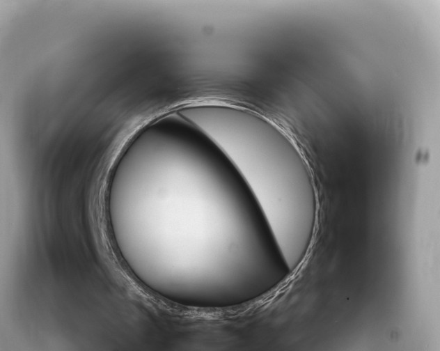 X0000092230289200709140947