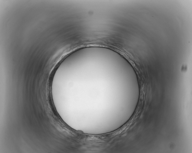 X0000092230290200709140947