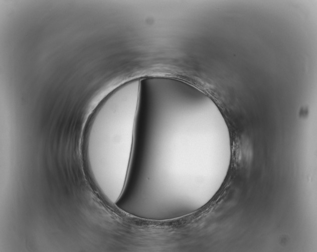 X0000092230292200709140947