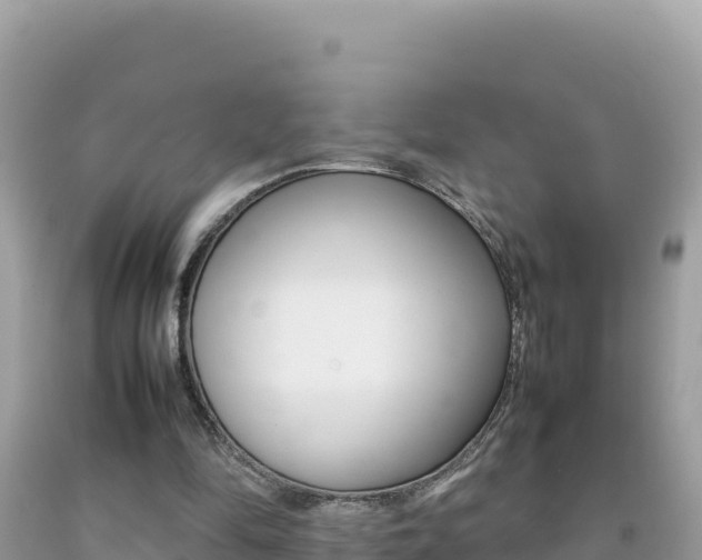 X0000092230294200709140947