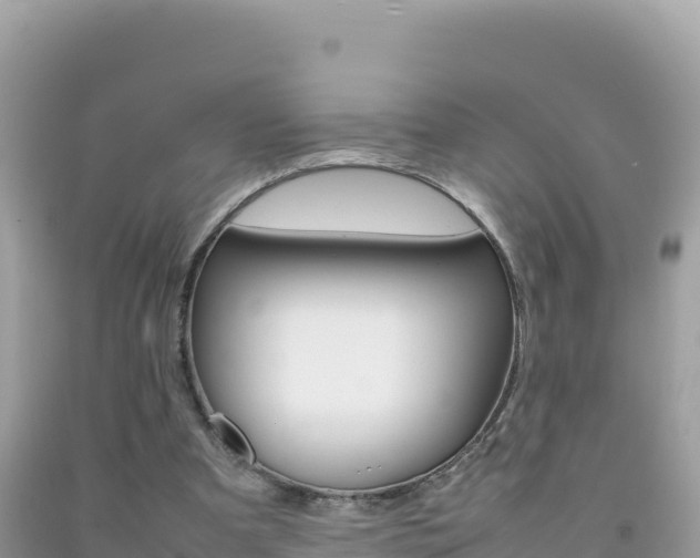 X0000092230297200709140947