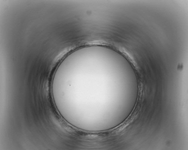 X0000092230298200709140947