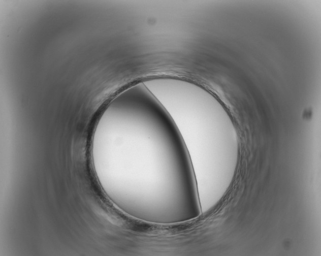 X0000092230299200709140947