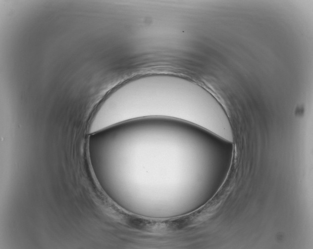 X0000092230301200709140947
