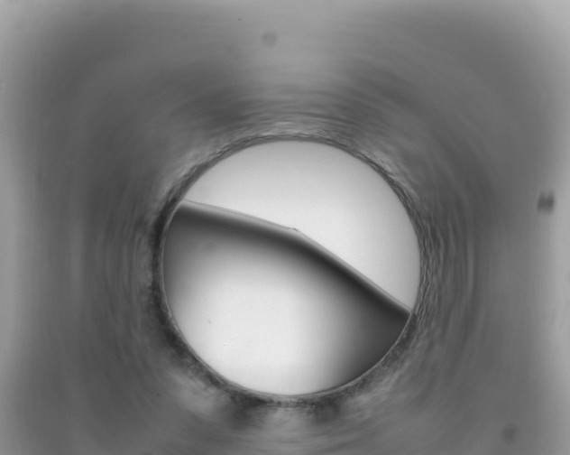 X0000092230303200709140947