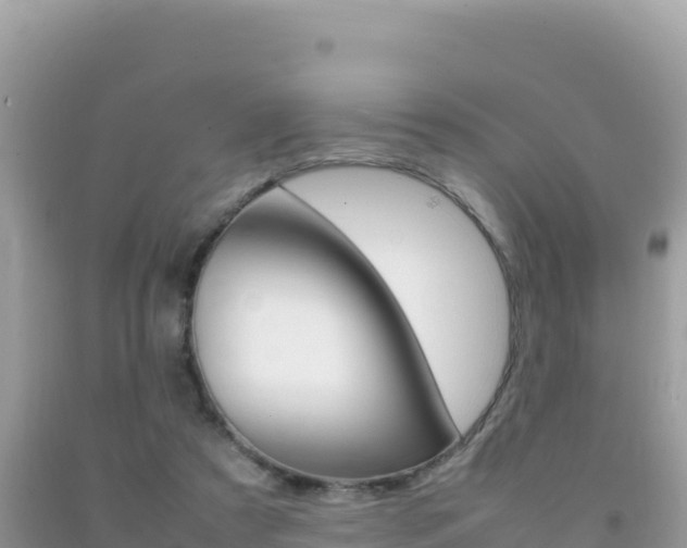 X0000092230305200709140947