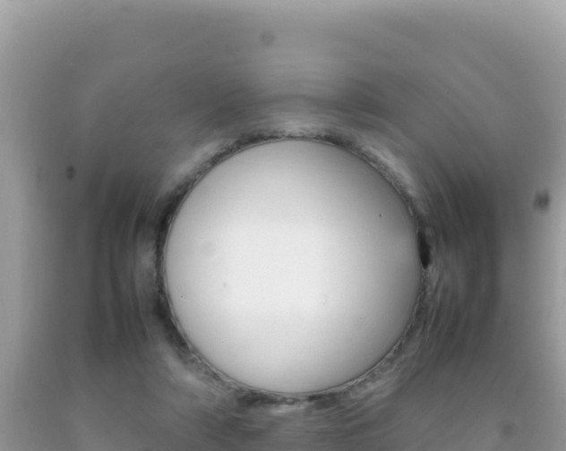 X0000092230306200709140947