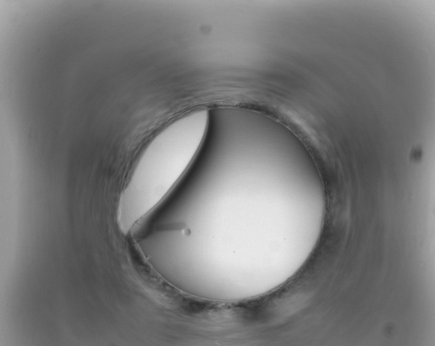 X0000092230307200709140947