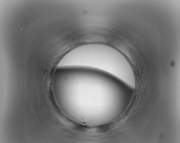 X0000092230309200709140947