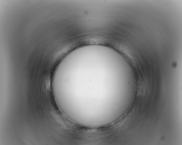 X0000092230310200709140947