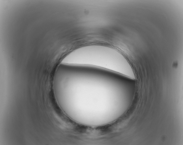 X0000092230311200709140947