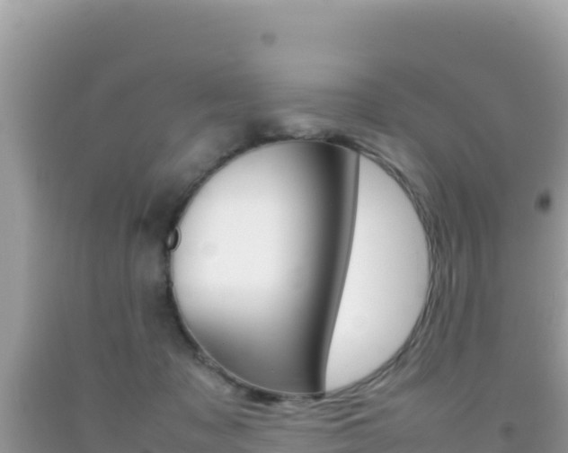 X0000092230317200709140947