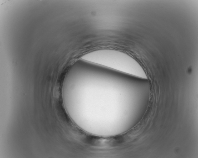 X0000092230323200709140946
