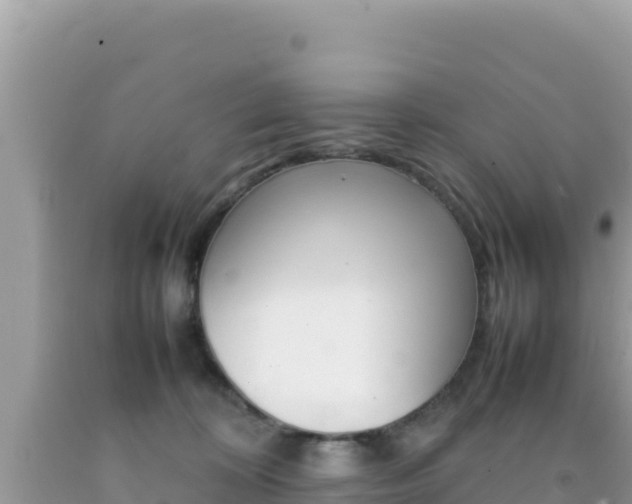 X0000092230324200709140946