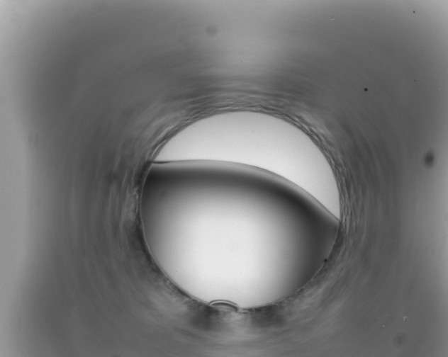 X0000092230325200709140946