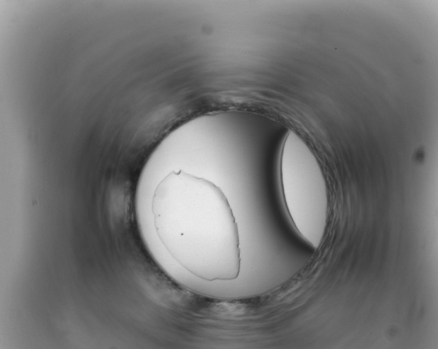 X0000092230328200709140946