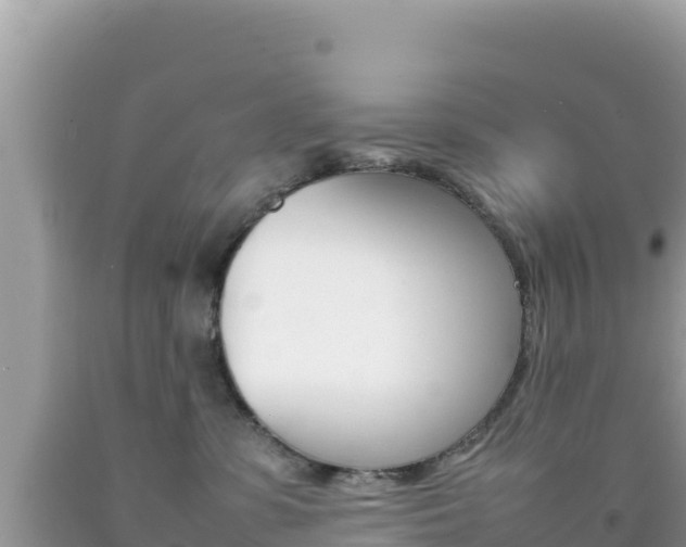X0000092230331200709140946