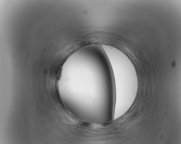 X0000092230333200709140946