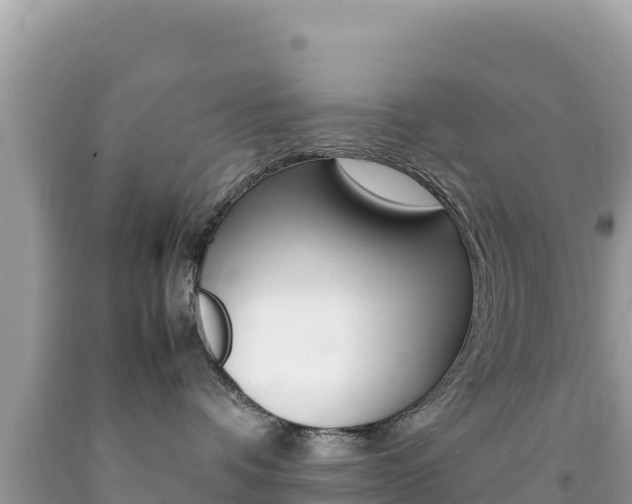 X0000092230336200709140946