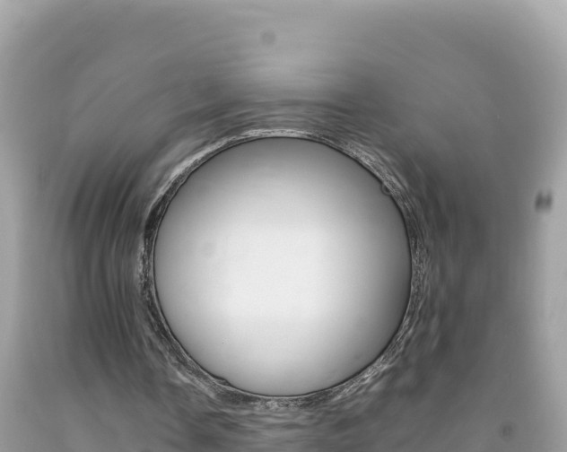 X0000092230338200709140946