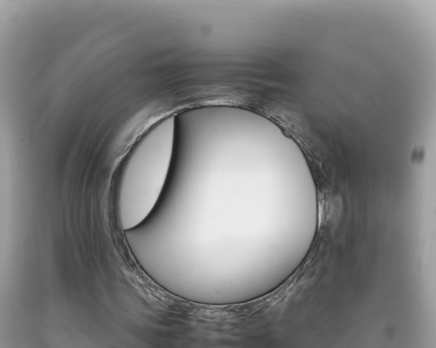 X0000092230339200709140946
