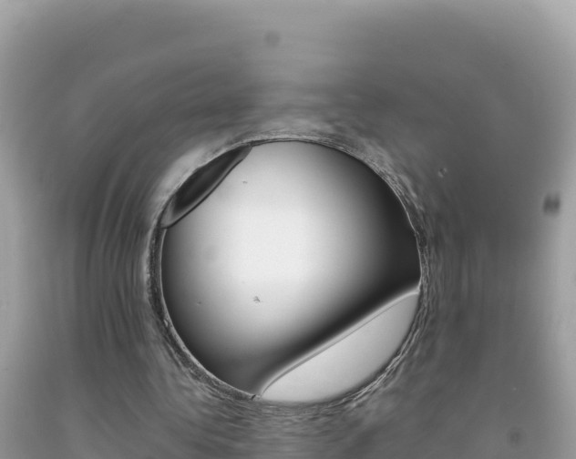 X0000092230340200709140946