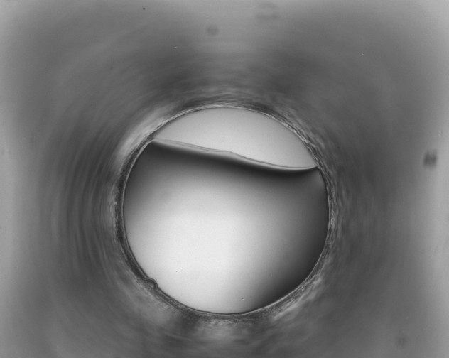 X0000092230341200709140946