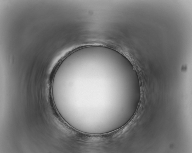 X0000092230342200709140946