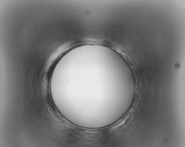 X0000092230343200709140946