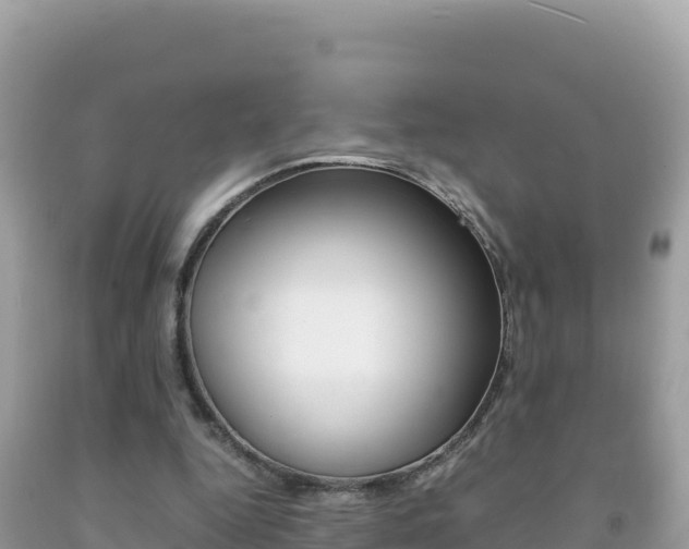 X0000092230344200709140946
