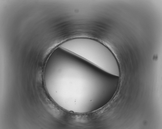 X0000092230345200709140946