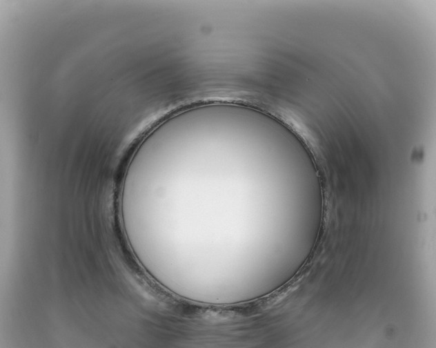 X0000092230346200709140946