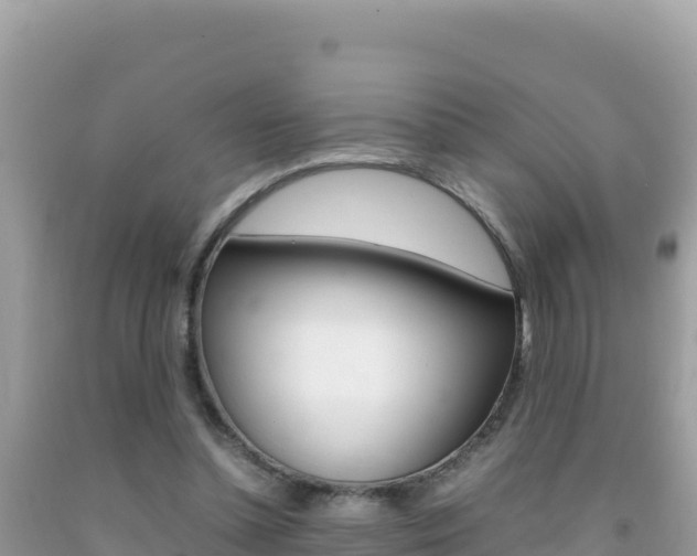 X0000092230348200709140946