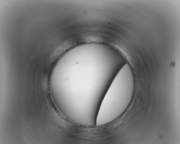 X0000092230353200709140946
