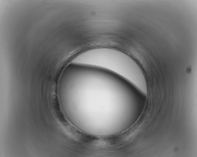 X0000092230356200709140946