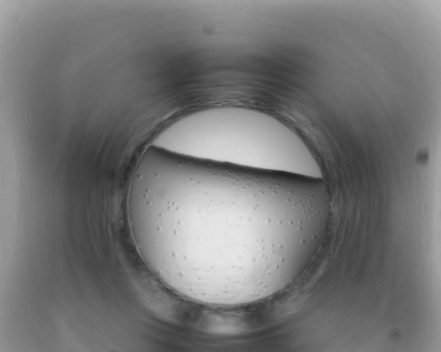 X0000092230359200709140946