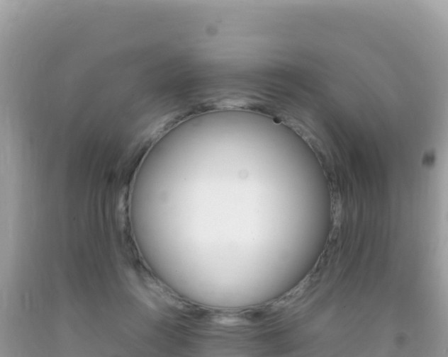 X0000092230360200709140946