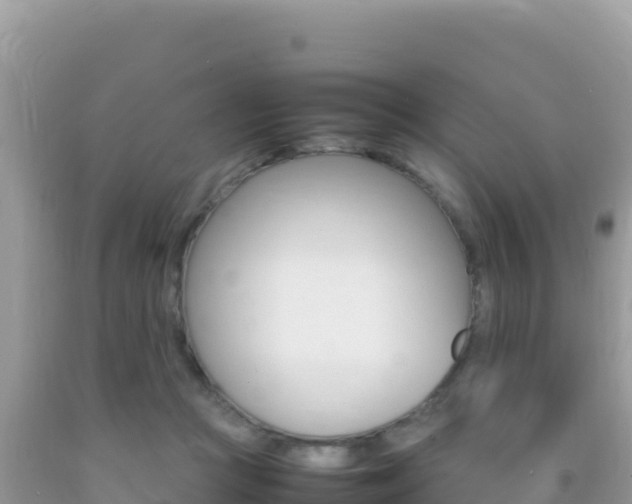 X0000092230361200709140946