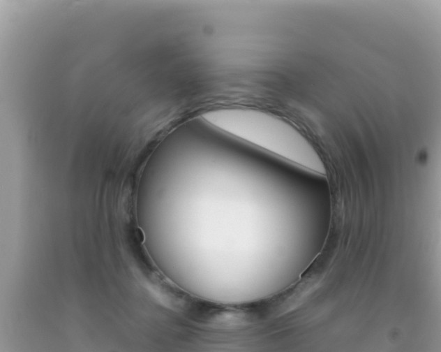 X0000092230364200709140946