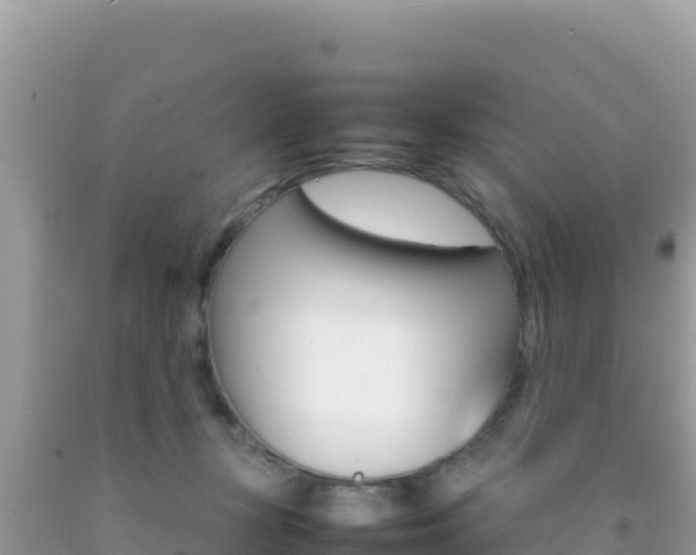 X0000092230367200709140946