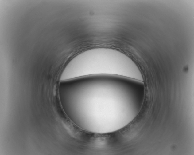 X0000092230368200709140946