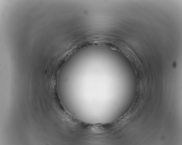 X0000092230372200709140946