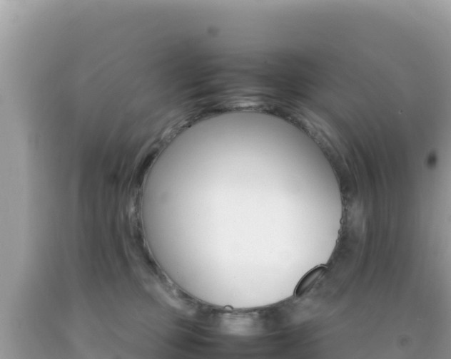 X0000092230373200709140946