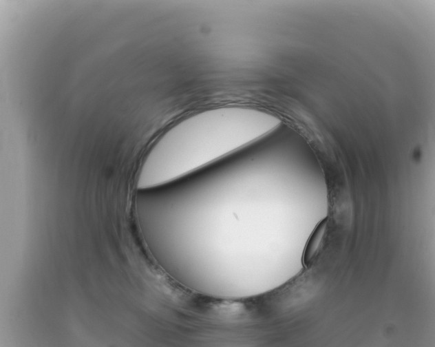 X0000092230374200709140946