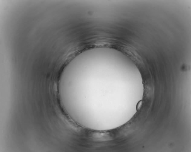 X0000092230375200709140946