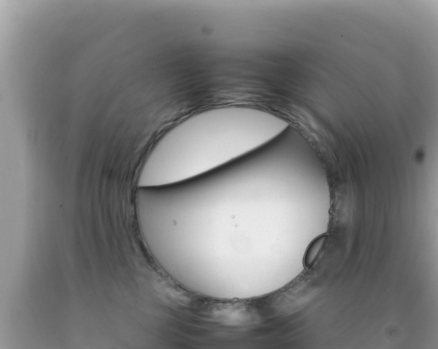 X0000092230377200709140946